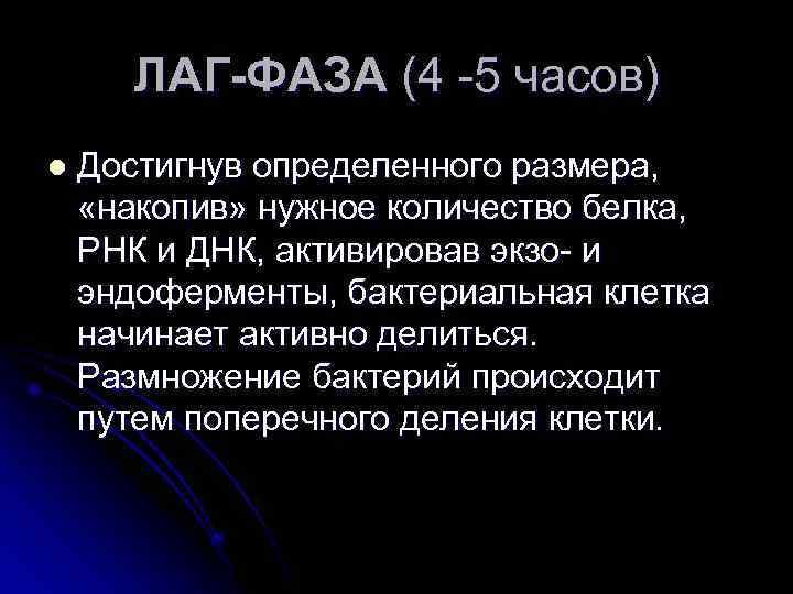 ЛАГ-ФАЗА (4 -5 часов) l Достигнув определенного размера, «накопив» нужное количество белка, РНК и