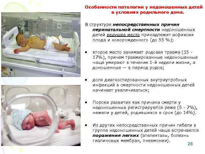 Особенности патологии у недоношенных детей в условиях родильного дома. В структуре непосредственных причин перинатальной