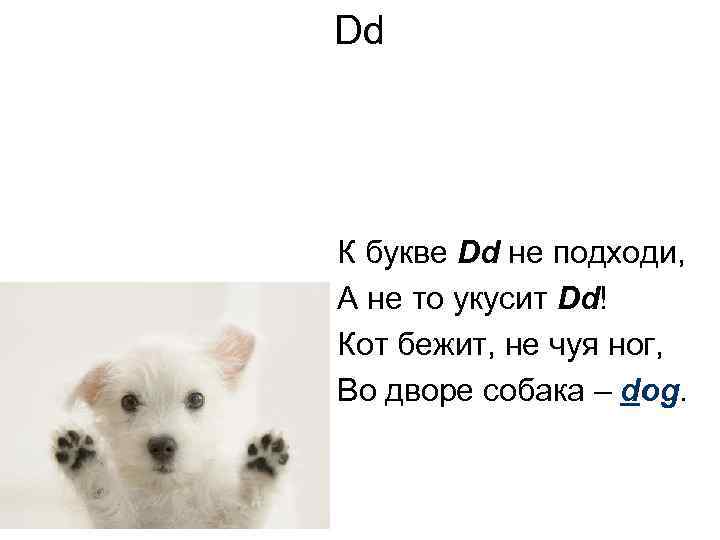 Dd К букве Dd не подходи, А не то укусит Dd! Кот бежит, не