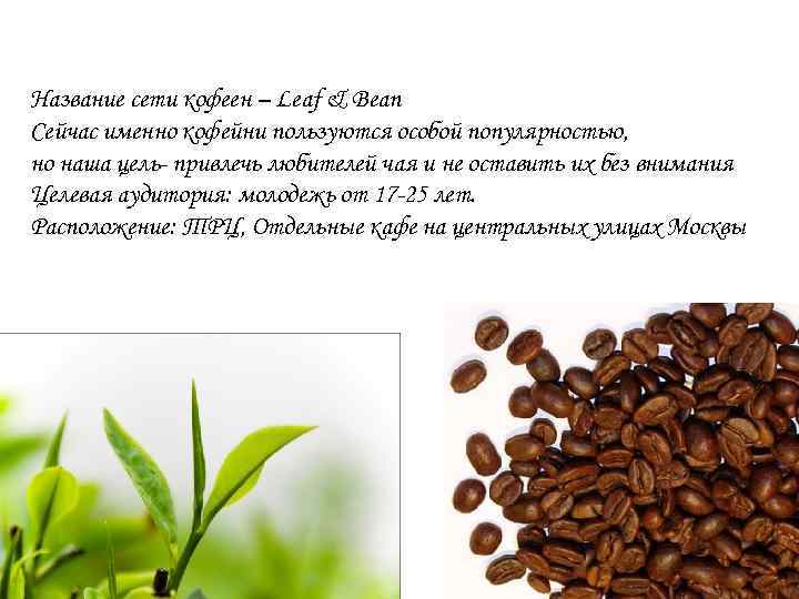 Название сети кофеен – Leaf & Bean Сейчас именно кофейни пользуются особой популярностью, но