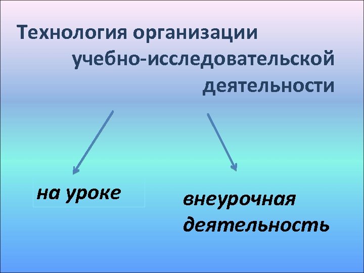 Технология организации учебно-исследовательской деятельности на уроке внеурочная деятельность 