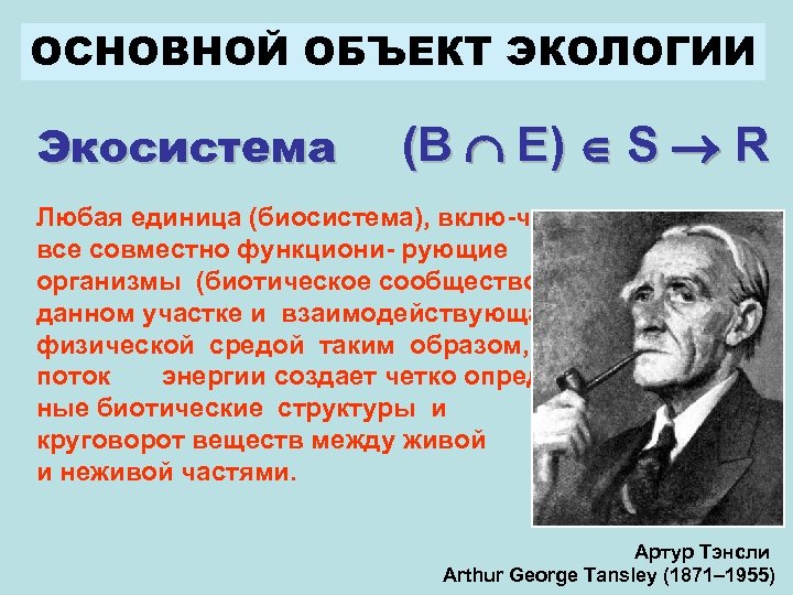 ОСНОВНОЙ ОБЪЕКТ ЭКОЛОГИИ Экосистема (B E) S R Любая единица (биосистема), вклю-чающая все совместно