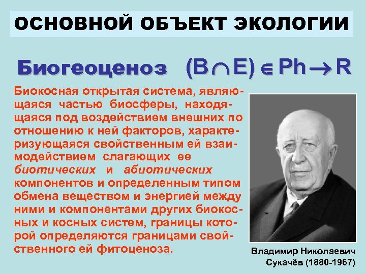 ОСНОВНОЙ ОБЪЕКТ ЭКОЛОГИИ Биогеоценоз (B E) Ph R Биокосная открытая система, являющаяся частью биосферы,