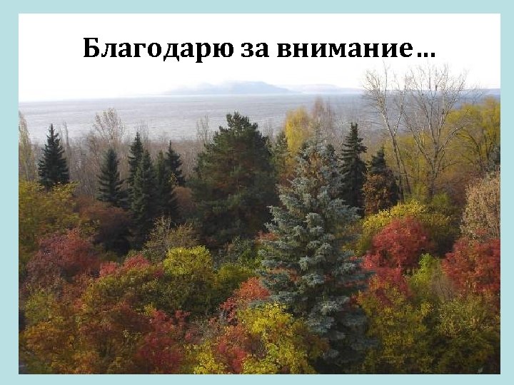 Благодарю за внимание… 