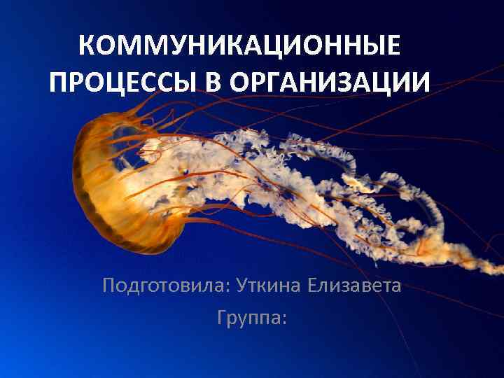 КОММУНИКАЦИОННЫЕ ПРОЦЕССЫ В ОРГАНИЗАЦИИ Подготовила: Уткина Елизавета Группа: 