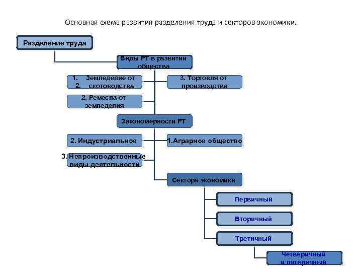 Основная схема развития разделения труда и секторов экономики. Разделение труда Виды РТ в развитии