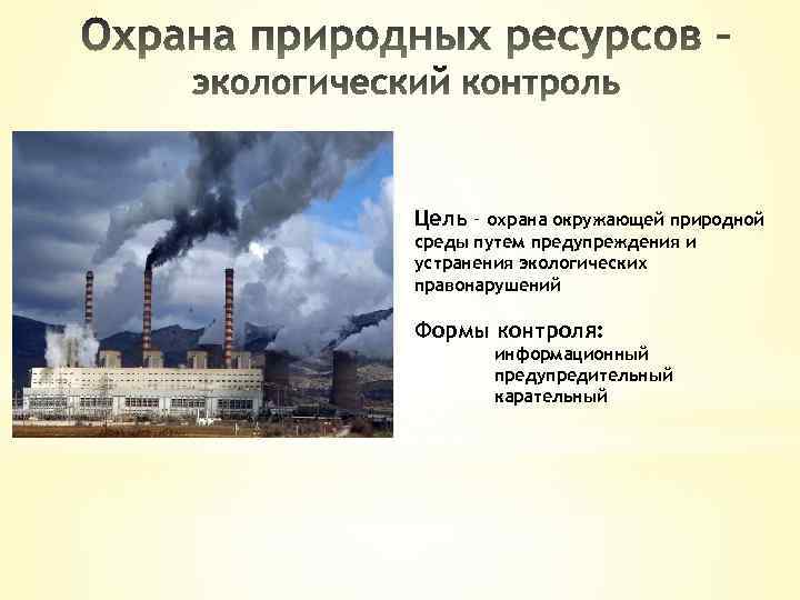 Цель – охрана окружающей природной среды путем предупреждения и устранения экологических правонарушений Формы контроля: