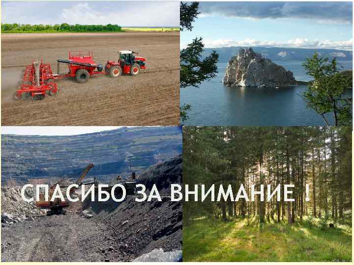 СПАСИБО ЗА ВНИМАНИЕ ! 