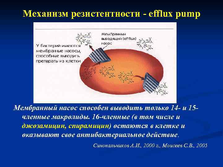Механизм резистентности - efflux pump Мембранный насос способен выводить только 14 - и 15