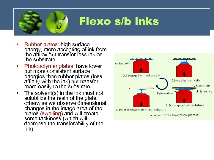 Flexo s/b inks • • • Rubber plates: high surface energy, more accepting of