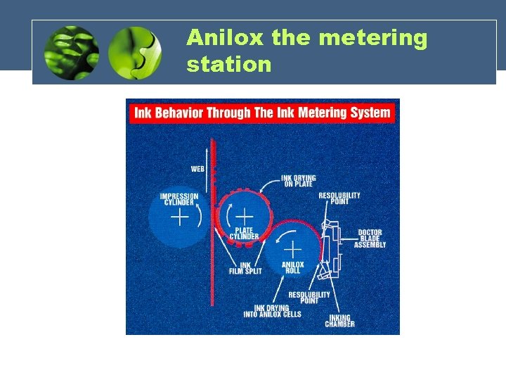 Anilox the metering station 