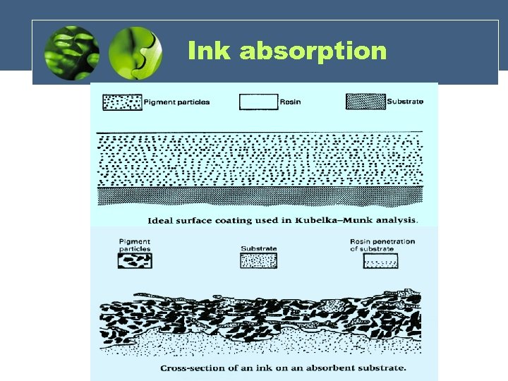 Ink absorption 