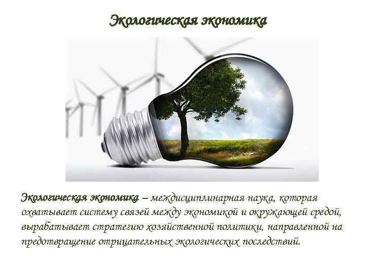 Экологическая экономика презентация - 98 фото