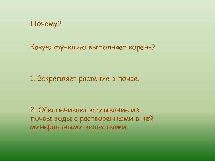 Какую функцию выполняет корень растения. Какие функции выполняет корень. Какую функцию выполлняетт колоенб. Какие функции выполняет корень 6 класс биология.
