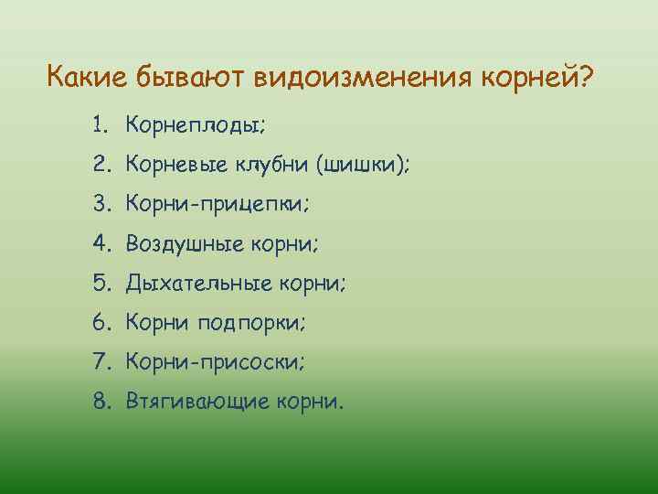 Какие бывают видоизменения корней? 1. Корнеплоды; 2. Корневые клубни (шишки); 3. Корни-прицепки; 4. Воздушные