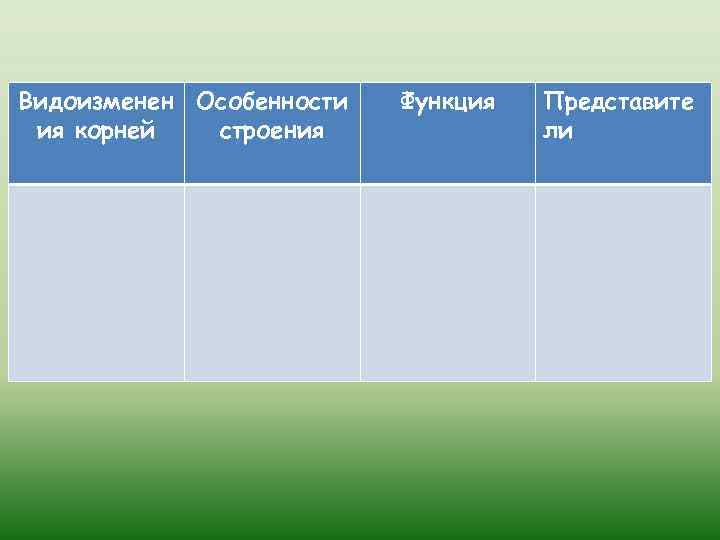 Видоизменен Особенности ия корней строения Функция Представите ли 