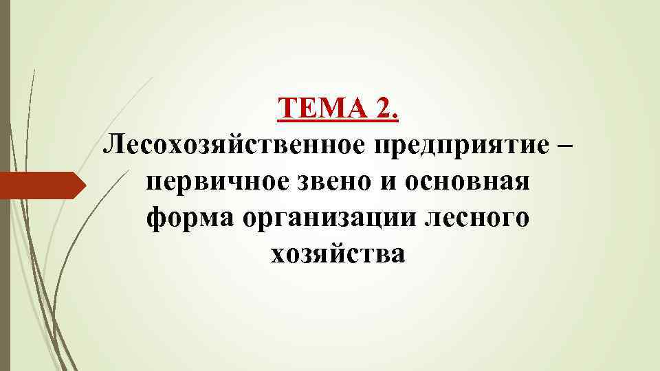 ТЕМА 2. Лесохозяйственное предприятие – первичное звено и основная форма организации лесного хозяйства 