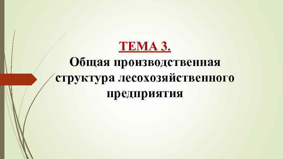 ТЕМА 3. Общая производственная структура лесохозяйственного предприятия 