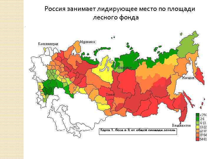 Россия занимает лидирующее место по площади лесного фонда 