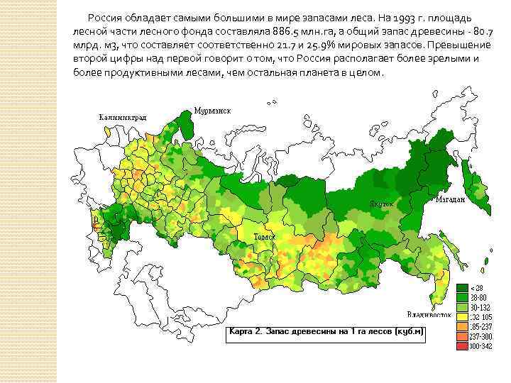 Россия обладает самыми большими в мире запасами леса. На 1993 г. площадь лесной части