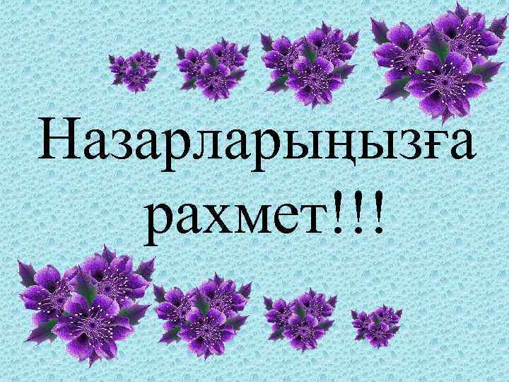 Назарларыңызға рахмет!!! 