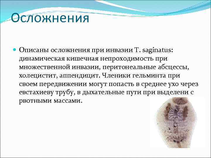 Осложнения Описаны осложнения при инвазии Т. saginatus: динамическая кишечная непроходимость при множественной инвазии, перитонеальные