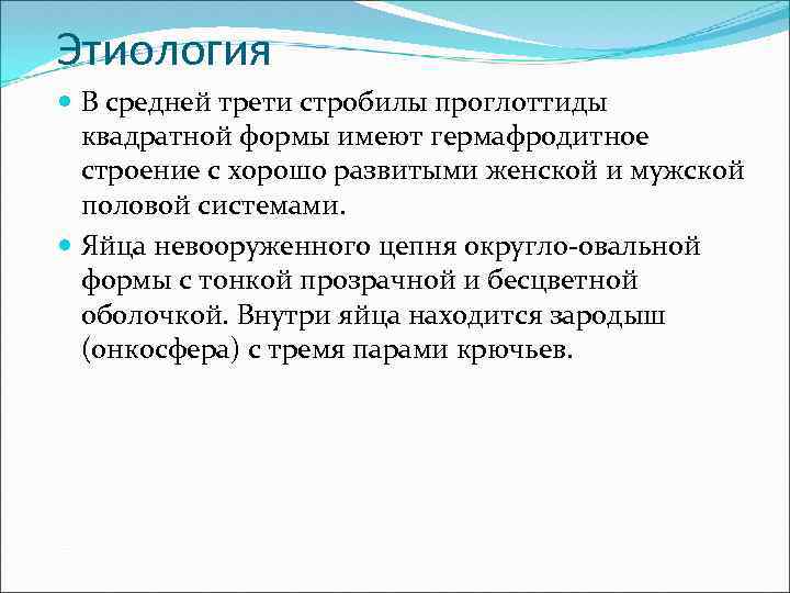 Этиология В средней трети стробилы проглоттиды квадратной формы имеют гермафродитное строение с хорошо развитыми