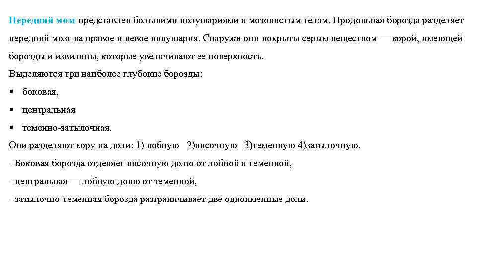 Передний мозг представлен большими полушариями и мозолистым телом. Продольная борозда разделяет передний мозг на