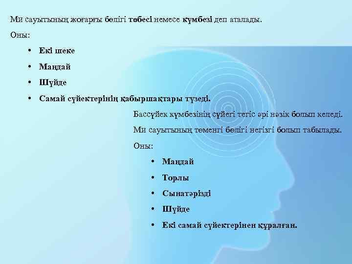 Ми сауытының жоғарғы бөлігі төбесі немесе күмбезі деп аталады. Оны: • Екі шеке •