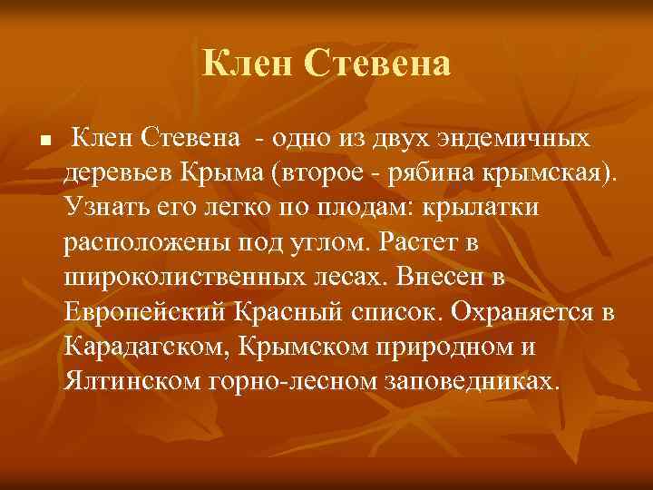 Клен Стевена n Клен Стевена - одно из двух эндемичных деревьев Крыма (второе -