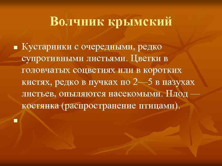Волчник крымский n n Кустарники с очередными, редко супротивными листьями. Цветки в головчатых соцветиях