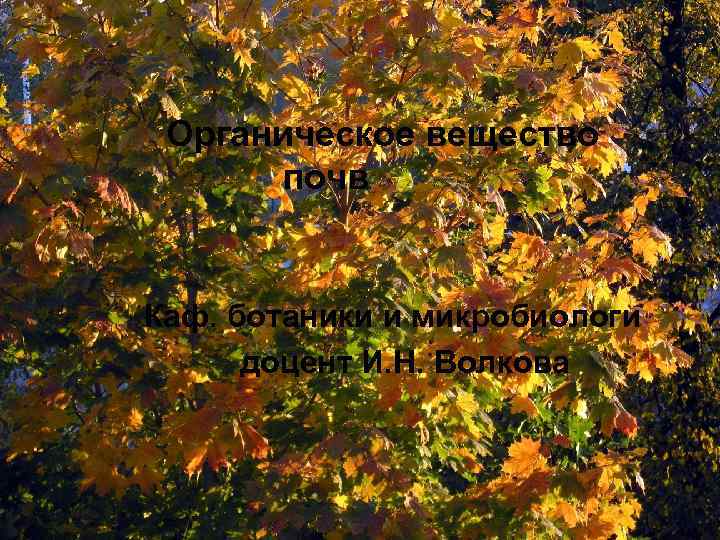 Органическое вещество почв Каф. ботаники и микробиологи доцент И. Н. Волкова 