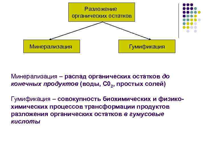 Организмы разлагающие органические остатки