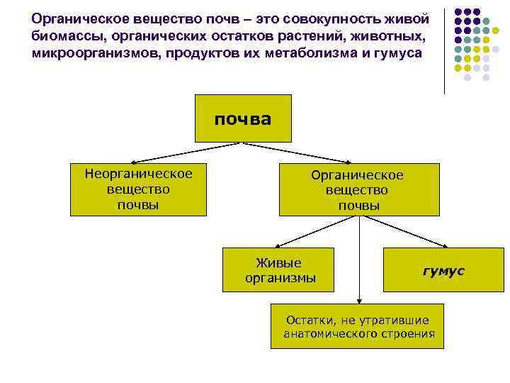 Органическое вещество почв – это совокупность живой биомассы, органических остатков растений, животных, микроорганизмов, продуктов