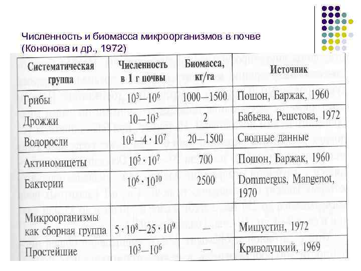 Численность и биомасса микроорганизмов в почве (Кононова и др. , 1972) 