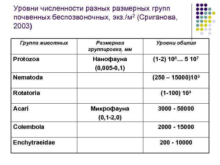 Уровни численности разных размерных групп почвенных беспозвоночных, экз. /м 2 (Сриганова, 2003) Группа животных