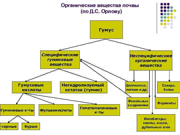 Органические вещества почвы (по Д. С. Орлову) Гумус Специфические гуминовые вещества Гумусовые кислоты Гуминовые