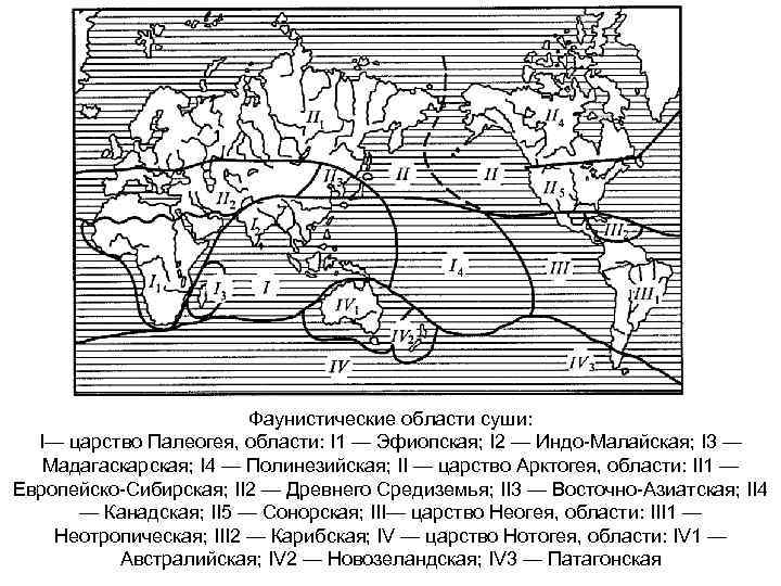 Фаунистические области суши: I— царство Палеогея, области: I 1 — Эфиопская; I 2 —