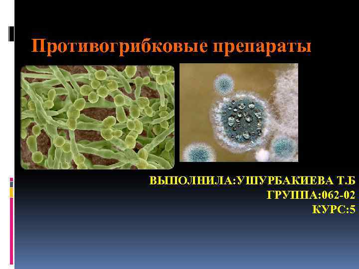 Противогрибковые препараты ВЫПОЛНИЛА: УШУРБАКИЕВА Т. Б ГРУППА: 062 -02 КУРС: 5 