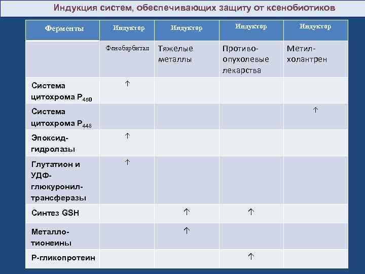  Индукция систем, обеспечивающих защиту от ксенобиотиков Ферменты Индуктор Фенобарбитал Система цитохрома P 450