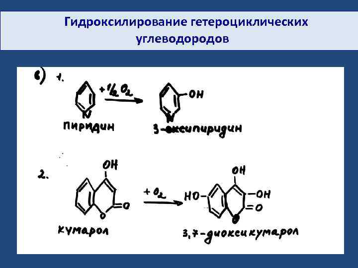 Гидроксилирование гетероциклических углеводородов 