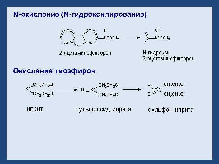N-окисление (N-гидроксилирование) Окисление тиоэфиров 