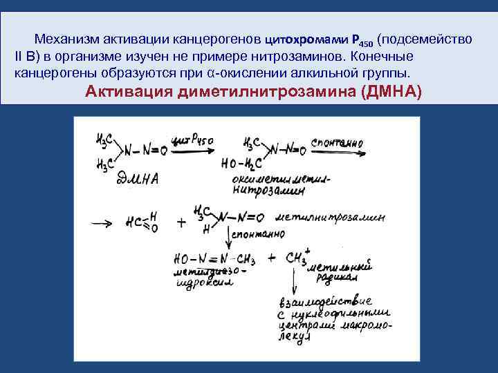 Механизм активации канцерогенов цитохромами P 450 (подсемейство II В) в организме изучен не примере