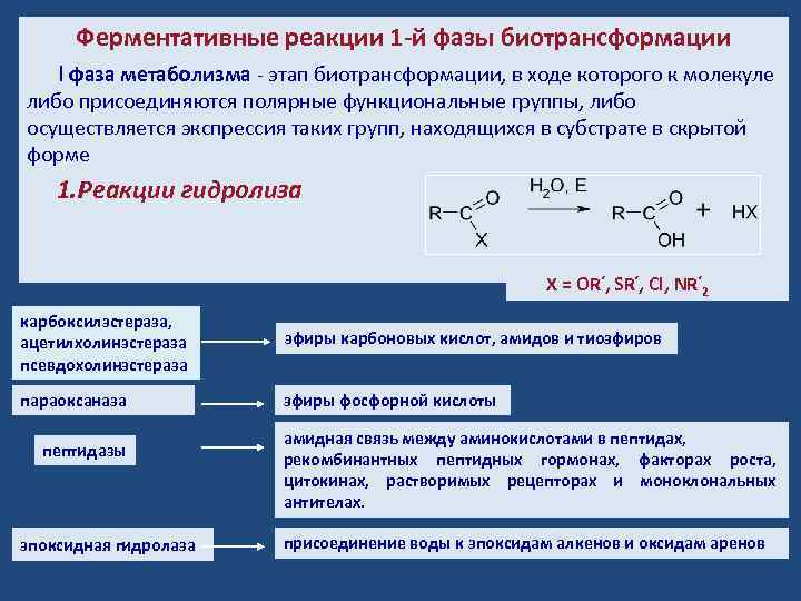 Схема ферментативной реакции