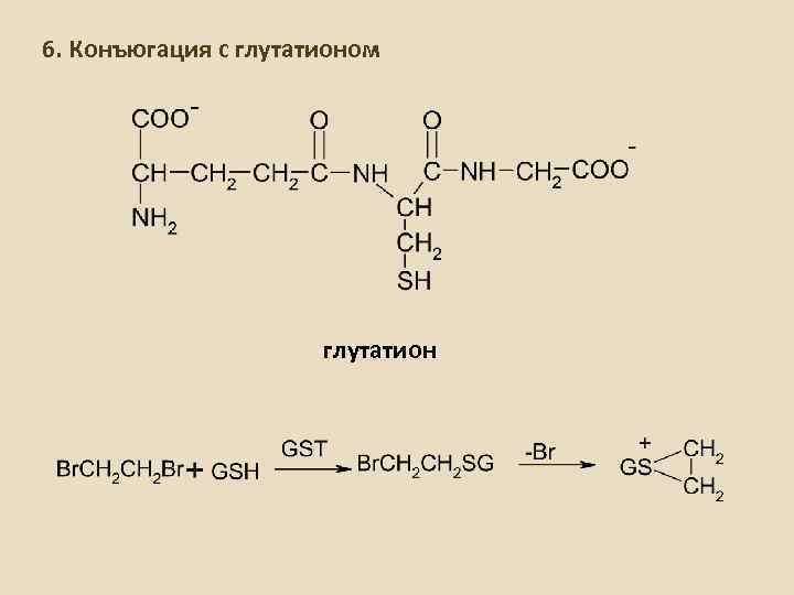 6. Конъюгация с глутатионом глутатион 