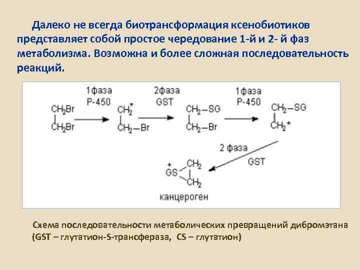 Какой биологический смысл в реакции переактивации ответ. Реакции катаболизма ксенобиотиков гидроксилирование. Фазы метаболизма ксенобиотиков. Биотрансформация ксенобиотиков схема.
