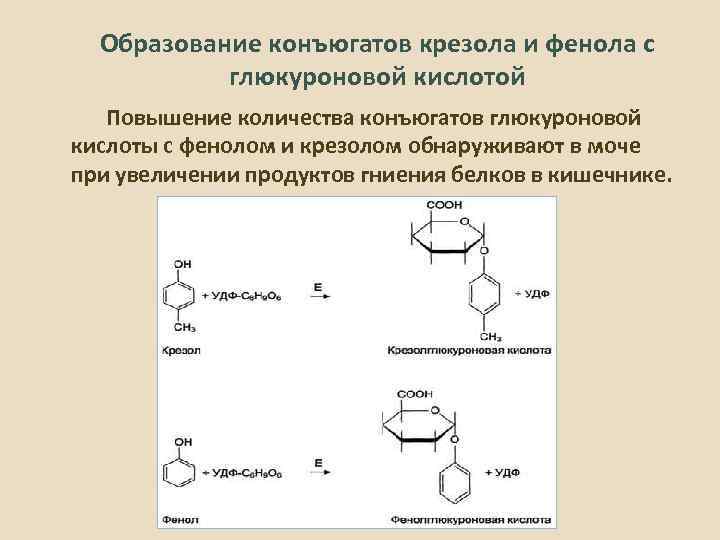 Глюкуроновая кислота для чего