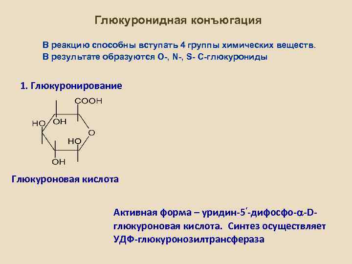 Конъюгация инфузорий схема