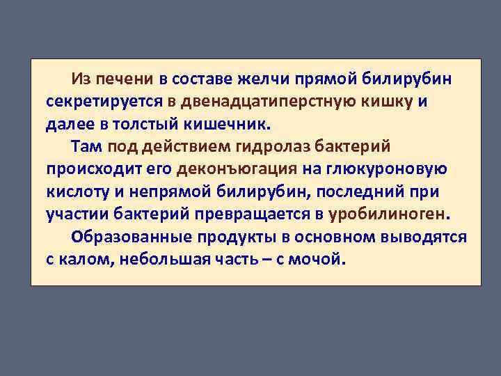 Из печени в составе желчи прямой билирубин секретируется в двенадцатиперстную кишку и далее в