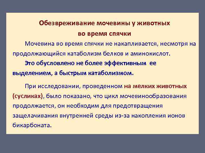 Обезвреживание мочевины у животных во время спячки Мочевина во время спячки не накапливается, несмотря